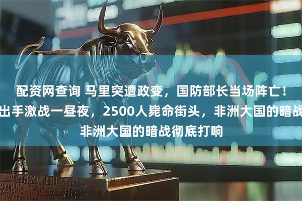 配资网查询 马里突遭政变，国防部长当场阵亡！俄军紧急出手激战一昼夜，2500人毙命街头，非洲大国的暗战彻底打响